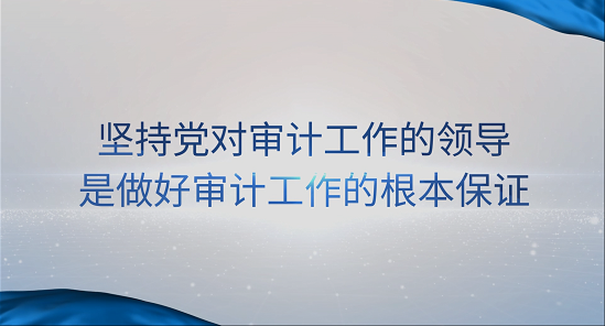 [專家談審計(jì)法]王偉：堅(jiān)持黨對(duì)審計(jì)工作的領(lǐng)導(dǎo)是做好審計(jì)工作的根本保證 